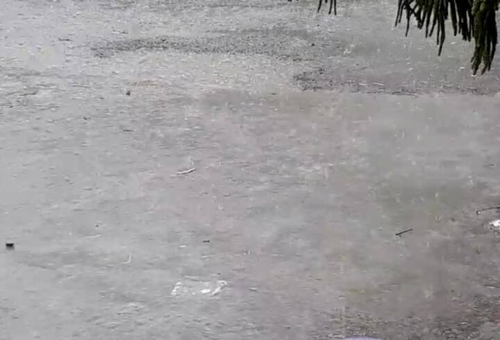 ਉੱਧਰ ਕਪੂਰਥਲਾ ਦੇ ਸੁਭਾਨਪੁਰ ਵਿੱਚ ਵੀ ਹਲਕੀ ਬਾਰਸ਼ ਹੋਈ। 