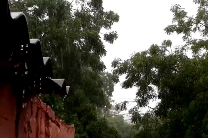 ਮੌਸਮ ਵਿਭਾਗ ਮੁਤਾਬਕ ਦੱਖਣ-ਪੱਛਮ ਮਾਨਸੂਨ ਯੂਪੀ, ਹਿਮਾਚਲ, ਉੱਤਰਾਖੰਡ ਤੇ ਜੰਮੂ ਤੇ ਕਸ਼ਮੀਰ ਦੇ ਕੁਝ ਹਿੱਸਿਆਂ ਨਾਲ ਰਾਜਸਥਾਨ, ਪੰਜਾਬ, ਹਰਿਆਣਾ, ਚੰਡੀਗੜ੍ਹ ਤੇ ਦਿੱਲੀ ਦੇ ਕੁਝ ਹਿੱਸਿਆਂ ਵਿੱਚ ਹੋਰ ਅੱਗੇ ਵਧ ਰਿਹਾ ਹੈ। 