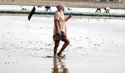 ਖੇਤੀਬਾੜੀ ਯੂਨੀਵਰਸਿਟੀ ਦੀ ਕਿਸਾਨਾਂ ਨੂੰ ਸਲਾਹ, ਇਹ ਗੱਲਾਂ ਪੱਲੇ ਬੰਨ੍ਹ ਲਓ