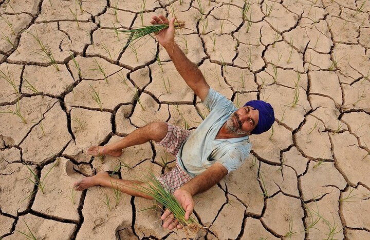 rain deficit increase in punjab hit paddy sowing  ਮਾਨਸੂਨ ਨੇ ਲਾਇਆ ਕਿਸਾਨਾਂ ਨੂੰ ਰਗੜਾ, ਪੰਜਾਬ 'ਚ 89% ਬਾਰਸ਼ ਘੱਟ