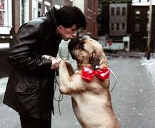 ਹਾਲੀਵੁੱਡ ਸੁਪਰ ਸਟਾਰ ਦਾ ਕੁੱਤੇ ਨਾਲ ਪ੍ਰੇਮ, 1700 \'ਚ ਵੇਚਿਆ ਤੇ 10 ਲੱਖ \'ਚ ਖਰੀਦਿਆ