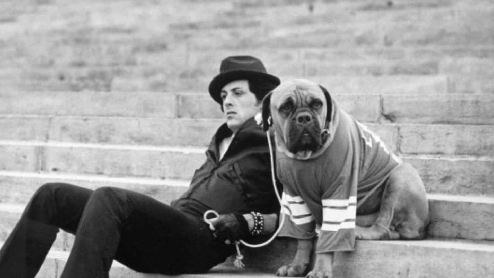 ਹਾਲੀਵੁੱਡ ਸੁਪਰ ਸਟਾਰ ਦਾ ਕੁੱਤੇ ਨਾਲ ਪ੍ਰੇਮ, 1700 'ਚ ਵੇਚਿਆ ਤੇ 10 ਲੱਖ 'ਚ ਖਰੀਦਿਆ