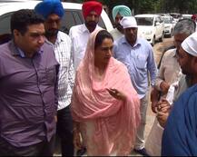 ਸਿੱਧੂ ਦੇ ਅਸਤੀਫ਼ੇ \'ਤੇ ਹਰਸਿਮਰਤ ਬਾਦਲ ਹੈਰਾਨ, ਕਹੀ ਵੱਡੀ ਗੱਲ