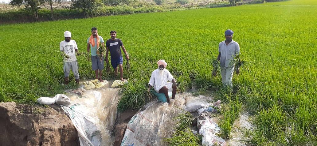 tarn taran farmers land drained away due to canal breakage ਬਾਰਸ਼ ਕਰਕੇ ਨਹਿਰ 'ਚ ਪਿਆ 20-25 ਫੁੱਟ ਦਾ ਪਾੜ, ਕਿਸਾਨਾਂ ਦੀ ਜ਼ਮੀਨ ਰੁੜ੍ਹੀ