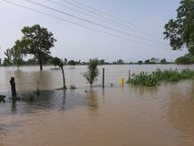 ਭਾਰੀ ਮੀਂਹ ਤੇ ਮਾੜੇ ਸਰਕਾਰੀ ਪ੍ਰਬੰਧਾਂ ਨੇ ਸਤਾਏ ਬਠਿੰਡਾ ਦੇ ਕਿਸਾਨ, ਸੈਂਕੜੇ ਏਕੜ ਫ਼ਸਲ ਤਬਾਹ