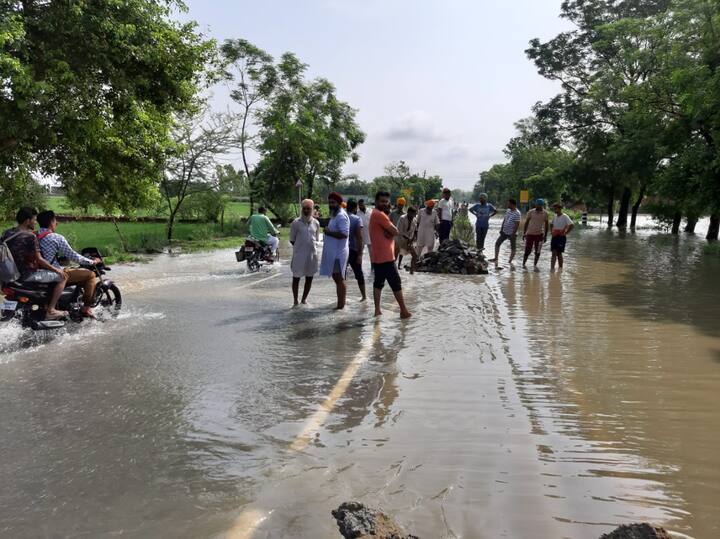 ਰਜਵਾਹੇ ਦਾ ਪਾਣੀ ਘੁੱਦਾ ਤੇ ਨਜ਼ਦੀਕੀ ਪਿੰਡ ਬਾਜਕ ਦੇ ਖੇਤਾਂ ਨੂੰ ਲਗਦਾ ਸੀ ਅਤੇ ਇਸ 'ਚ ਪਾੜ ਪੈਣ ਕਾਰਨ ਘੁੱਦਾ ਤੇ ਬਾਜਕ, ਦੋਹਾਂ ਪਿੰਡਾਂ ਦੀ ਸੈਂਕੜੇ ਏਕੜ ਫ਼ਸਲ ਪਾਣੀ 'ਚ ਡੁੱਬ ਗਈ ਹੈ।