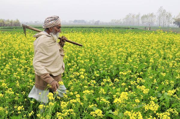 ਖੇਤੀ-ਕਿਸਾਨੀ ਲਈ ਵਿਆਜ ਦਰ ਉਂਝ ਤਾਂ 9 ਫੀਸਦੀ ਹੈ ਪਰ ਸਰਕਾਰ ਇਸ ਵਿੱਚ 2 ਫੀਸਦੀ ਦੀ ਸਬਸਿਡੀ ਦਿੰਦੀ ਹੈ। ਇਸ ਤਰ੍ਹਾਂ ਇਹ 7 ਫੀਸਦੀ ਹੀ ਪੈਂਦਾ ਹੈ। ਸਮੇਂ 'ਤੇ ਕਰਜ਼ਾ ਮੋੜਨ ਉੱਤੇ 3 ਫੀਸਦੀ ਵਾਧੂ ਛੋਟ ਦਿੱਤੀ ਜਾਂਦੀ ਹੈ।