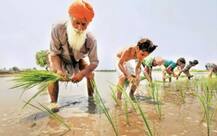 ਕਿਸਾਨਾਂ ਲਈ ਖੁਸ਼ਖਬਰੀ! ਹੁਣ ਸਿਰਫ਼ ਦੋ ਹਫ਼ਤਿਆਂ \'ਚ ਕ੍ਰੈਡਿਟ ਕਾਰਡ