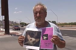 ਲਾਪਤਾ ਕੁੱਤੀ ਲਈ ਸਭ ਕੁਝ ਦਾਅ 'ਤੇ ਲਾਇਆ, ਲੱਭਣ ਵਾਲੇ ਨੂੰ ਘਰ, ਜ਼ਮੀਨ ਤੇ ਵਰਕਸ਼ਾਪ ਦੇਣ ਦਾ ਐਲਾਨ