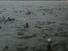 ਕਈ ਦਿਨਾਂ ਤੋਂ ਹੈ ਬਾਰਸ਼ ਦਾ ਇੰਤਜ਼ਾਰ, ਉੱਤਰ ਭਾਰਤ ਨੂੰ ਜਲਦ ਮਿਲ ਸਕਦੀ ਗਰਮੀ ਤੋਂ ਨਿਜਾਤ