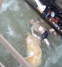 ਭਾਖੜਾ \'ਚੋਂ ਮਿਲੀ ਬੱਚੇ ਦੀ ਲਾਸ਼