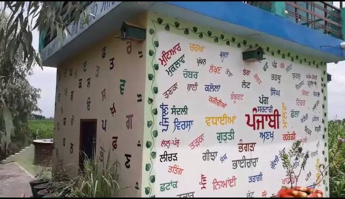 ਇਸ ਬੀਚ ਵਿੱਚ ਬਕਾਇਦਾ ਬੀਚ ਚੇਅਰ ਤੇ ਬੈਠਣ ਲਈ ਕਾਨਿਆਂ ਦੀਆਂ ਕੁਰਸੀਆਂ ਤੋਂ ਇਲਾਵਾ ਤਖਤਪੋਸ਼ ਵੀ ਲਾਇਆ ਗਿਆ ਹੈ। ਇਸ ਤੋਂ ਇਲਾਵਾ ਆਲੇ-ਦੁਆਲੇ ਲਾਲਟੈਣ ਸਮੇਤ ਵੇਲਾਂ ਲਮਕਾਈਆਂ ਹੋਈਆਂ ਹਨ।