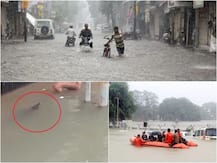 ਮੀਂਹ ਦੇ ਪਾਣੀ ਨਾਲ ਰੁੜ੍ਹ ਕੇ ਆਏ ਮਗਰਮੱਛ, ਰਿਹਾਇਸ਼ੀ ਇਲਾਕਿਆਂ \'ਚ ਦਹਿਸ਼ਤ