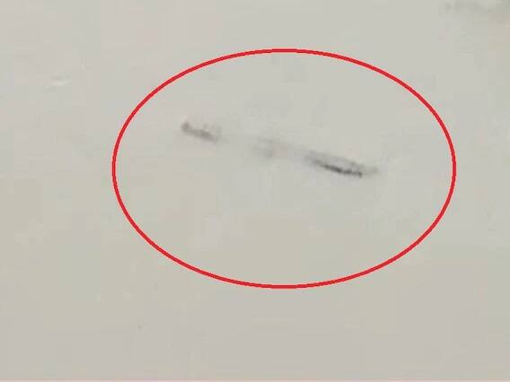 ਦਰਅਸਲ, ਵਡੋਦਰਾ ਵਿੱਚੋਂ ਗੁਜ਼ਰਨ ਵਾਲੇ ਵਿਸ਼ਵਾਮਿੱਤਰ ਦਰਿਆ ਵਿੱਚ ਕਾਫੀ ਮਗਰਮੱਛ ਹਨ।