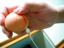 ਅੰਡਿਆਂ ਦੇ ਛਿਲਕੇ ਵੀ ਕਰਦੇ ਕਮਾਲ, ਖੋਜ ’ਚ ਖ਼ੁਲਾਸਾ   