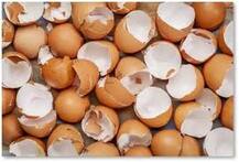 ਅੰਡਿਆਂ ਦੇ ਛਿਲਕੇ ਵੀ ਕਰਦੇ ਕਮਾਲ, ਖੋਜ ’ਚ ਖ਼ੁਲਾਸਾ   