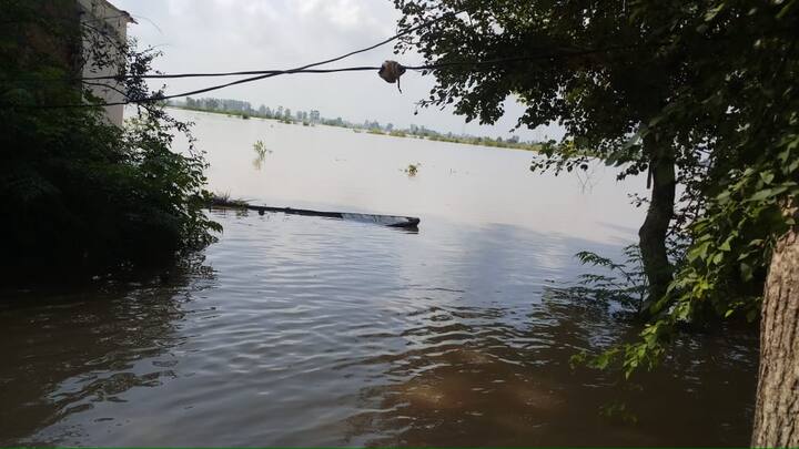 ਫਿਰੋਜ਼ਪੁਰ ਜ਼ਿਲ੍ਹੇ ਦੇ ਕੱਟਾ ਬਾਦਸ਼ਾਹ, ਝੁੰਡੁਰ, ਫਤਹਿਪੁਰ ਤੇ ਲਾਲ ਸਿੰਘ ਬਸਤੀ ਦੇ ਪਿੰਡਾਂ ਦੀ ਜ਼ਮੀਨ ਹੜ੍ਹ ਦੀ ਮਾਰ ਹੇਠ ਆਈ ਹੈ। 