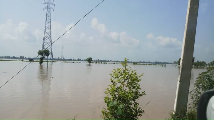 ਲੋਕਾਂ ਦਾ ਮਾਲ ਡੰਗਰ ਜ਼ਰੂਰ ਅੰਦਰ ਸੀ, ਜਿਸ ਨੂੰ ਅੱਜ ਸਥਾਨਕ ਲੋਕ ਖ਼ੁਦ ਬੇੜੀਆਂ ਦੀ ਮਦਦ ਦੇ ਨਾਲ ਬਾਹਰ ਲੈ ਕੇ ਆਏ ਹਨ।