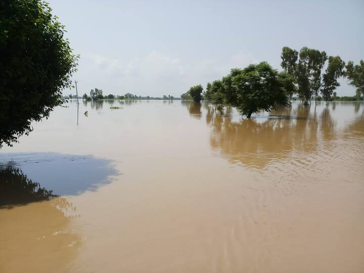 ਜ਼ਿਲ੍ਹੇ ਵਿੱਚ ਹੜ੍ਹਾਂ ਦੀ ਮਾਰ ਉਨੀ ਜਗ੍ਹਾ ਤਕ ਹੈ ਜੋ ਜਗ੍ਹਾ ਦਰਿਆ ਦੇ ਨਾਲ ਲੱਗਦੀ ਹੈ ਤੇ ਇੱਥੋਂ ਦੀ ਫ਼ਸਲ ਹੀ ਇਸ ਪਾਣੀ ਦੀ ਮਾਰ ਹੇਠ ਆਈ ਹੈ। 
