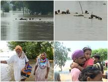 ਹੁਣ ਫਿਰੋਜ਼ਪੁਰ \'ਚ ਮਚਾਈ ਹੜ੍ਹਾਂ ਨੇ ਤਬਾਹੀ, ਫਸਲਾਂ ਹੋਈਆਂ ਤਬਾਹ