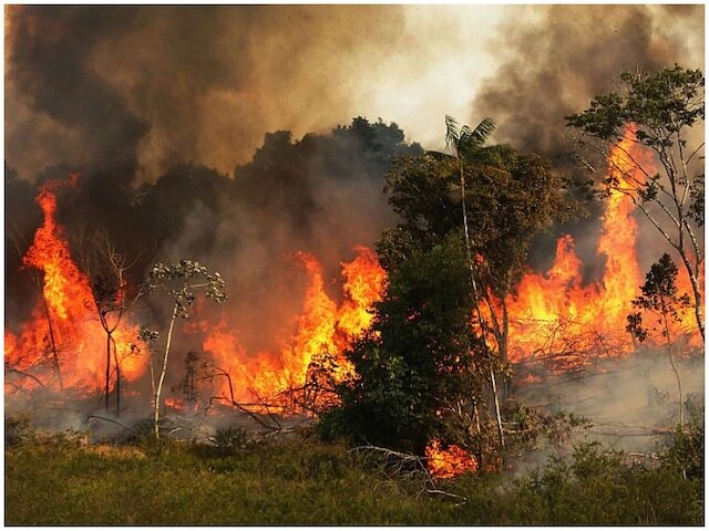 amazonfires amazon forest fire for two weeks brazil #AmazonFires: ਦੋ ਹਫ਼ਤਿਆਂ ਤੋਂ ਧੁਖ਼ ਰਹੇ ਦੁਨੀਆ ਨੂੰ 20% ਆਕਸੀਜ਼ਨ ਦੇਣ ਵਾਲੇ 'ਧਰਤੀ ਦੇ ਫੇਫੜੇ'