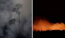 ਹੁਣ ਫ਼ੌਜ ਪਾਏਗੀ Amazon ਦੇ ਜੰਗਲਾਂ ‘ਚ ਲੱਗੀ ਅੱਗ \'ਤੇ ਕਾਬੂ