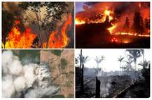 ਹੁਣ ਫ਼ੌਜ ਪਾਏਗੀ Amazon ਦੇ ਜੰਗਲਾਂ ‘ਚ ਲੱਗੀ ਅੱਗ \'ਤੇ ਕਾਬੂ