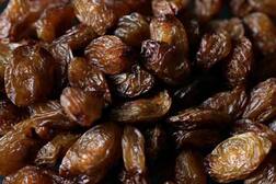 Black raisins benefits: પેટની આ સમસ્યામાં વરદાન છે મુનક્કા, દૂધ સાથે પીવાથી થાય છે ફાયદા