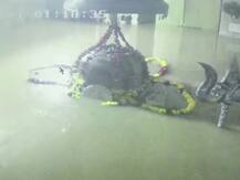 ਬਾਰਸ਼ ਨੇ ਮਚਾਈ ਮੁੜ ਤਬਾਹੀ, 105 ਮੌਤਾਂ, ਹਜ਼ਾਰਾਂ ਏਕੜ ਫਸਲ ਤਬਾਹ