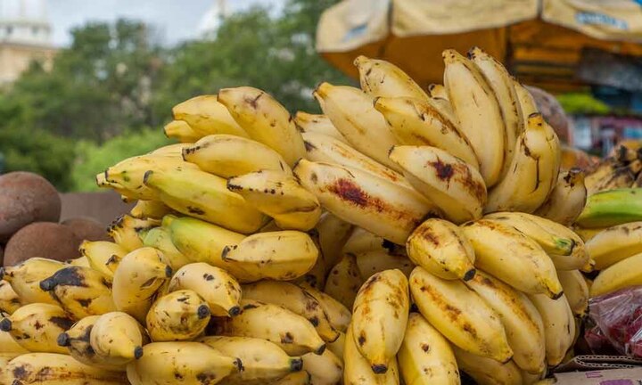 Authorities ban sale of bananas at Charbagh railway station at Lucknow ਕੇਲਿਆਂ ਦੀ ਵਿਕਰੀ 'ਤੇ ਲਾਈ ਰੋਕ