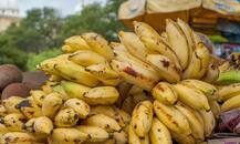 ਸਾਵਧਾਨ! ਕੀ ਤੁਸੀਂ ਵੀ ਫਰਿੱਜ 'ਚ ਰੱਖਦੇ ਹੋ ਕੇਲੇ!