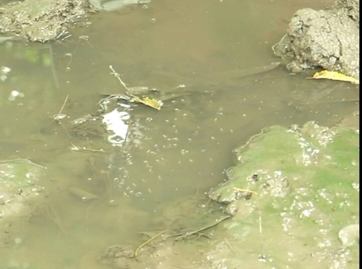 ਉਨ੍ਹਾਂ ਕਿਹਾ ਕਿ ਜੇ ਘਰ ਵਿੱਚ ਖਾਲੀ ਗਲਾਸ ਪਿਆ ਹੈ ਤਾਂ ਉਸ 'ਚ ਮੌਜੂਦ ਥੋੜ੍ਹੇ ਬਹੁਤ ਪਾਣੀ ਵਿੱਚ ਵੀ ਲਾਰਵਾ ਮਿਲ ਸਕਦਾ ਹੈ।