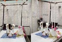 ਕੁੜੀ ਦਾ ਆਪਣੀ ਗੁੱਡੀ ਨਾਲ ਵੱਖਰਾ ਰਿਸ਼ਤਾ, ਹਸਪਤਾਲ ‘ਚ ਨਾਲ ਹੀ ਚੱਲ ਰਿਹਾ ਗੁੱਡੀ ਦਾ ਇਲਾਜ