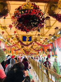 ਨਹੀਂ ਦੇਖੀ ਫੁੱਲਾਂ ਦੀ ਅਜਿਹੀ ਅਲੌਕਿਕ ਸਜਾਵਟ, ਵੇਖੋ ਹਰਿਮੰਦਰ ਸਾਹਿਬ ਤੋਂ ਆਈਆਂ ਤਾਜ਼ਾ ਤਸਵੀਰਾਂ