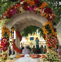 ਨਹੀਂ ਦੇਖੀ ਫੁੱਲਾਂ ਦੀ ਅਜਿਹੀ ਅਲੌਕਿਕ ਸਜਾਵਟ, ਵੇਖੋ ਹਰਿਮੰਦਰ ਸਾਹਿਬ ਤੋਂ ਆਈਆਂ ਤਾਜ਼ਾ ਤਸਵੀਰਾਂ