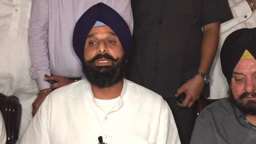 ਪੰਜਾਬ 'ਚ ਵਿਕ ਰਿਹਾ ਬਿਨ੍ਹਾਂ ਮਾਨਤਾ ਵਾਲਾ ਝੋਨੇ ਦਾ ਬੀਜ, ਮਜੀਠੀਆ ਨੇ ਸੁਖਜਿੰਦਰ ਰੰਧਾਵਾ ਖ਼ਿਲਾਫ਼ ਖੋਲ੍ਹਿਆ ਮੋਰਚਾ Majithia accused Randhawa For Karnal Seed Factory Operation ਪੰਜਾਬ 'ਚ ਵਿਕ ਰਿਹਾ ਬਿਨ੍ਹਾਂ ਮਾਨਤਾ ਵਾਲਾ ਝੋਨੇ ਦਾ ਬੀਜ, ਮਜੀਠੀਆ ਨੇ ਸੁਖਜਿੰਦਰ ਰੰਧਾਵਾ ਖ਼ਿਲਾਫ਼ ਖੋਲ੍ਹਿਆ ਮੋਰਚਾ