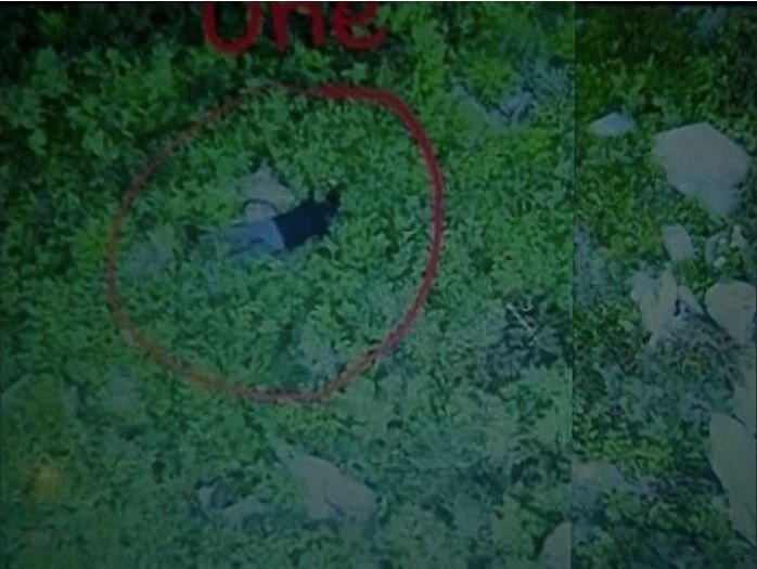 Pakistan Exposed: Video Of Pak Army's Involvement In Keran Sector Infiltration Bid Released ਕੇਰਨ ਸੈਕਟਰ ‘ਚ ਮੁਕਾਬਲੇ ‘ਚ ਮਾਰਿਆ ਗਿਆ ਪਾਕਿਸਤਾਨੀ ਸੈਨਿਕ, ਸਾਹਮਣੇ ਆਇਆ ਵੀਡੀਓ