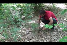 ਧੌਲੇ ਦੇ ਇੱਕ ਨੌਜਵਾਨ ਨੇ ਲਾਇਆ ਸਭ ਤੋਂ ਵੱਡੀ ਸਮੱਸਿਆ ਨਾਲ ਮੱਥਾ, ਬਦਲੀ ਪਿੰਡ ਦੀ ਨੁਹਾਰ