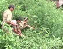 ਭੰਗ ਤੇ ਅਫ਼ੀਮ ਦੀ ਨਾਜਾਇਜ਼ ਖੇਤੀ ਕਰਨ ਵਾਲੇ ਸਾਵਧਾਨ, ਡ੍ਰੋਨ ਰੱਖੇਗਾ ਬਾਜ਼ ਨਜ਼ਰ