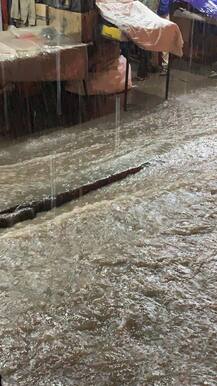 ਪੰਜਾਬ ਸਣੇ ਗੁਆਂਢੀ ਸੂਬਿਆਂ \'ਚ ਹੋ ਰਹੀ ਜਲਥਲ, ਫ਼ਸਲਾਂ ਦਾ ਨੁਕਸਾਨ