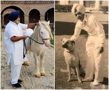 ਸੁਖਬੀਰ ਨੇ ਦਿਖਾਇਆ ਆਪਣਾ ਸਭ ਤੋਂ ਮਹਿੰਗਾ ਘੋੜਾ ਤਾਂ ਕੈਪਟਨ ਨੇ ਵੀ ਸ਼ੇਅਰ ਕੀਤੀ \'ਡਾਨ\' ਦੀ ਫੋਟੋ