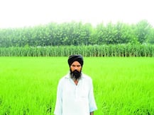 ਕੋਈ ਰਣਧੀਰ ਸਿੰਘ ਤੋਂ ਸਿੱਖੇ ਖੇਤੀ ਕਰਨ ਦਾ ਢੰਗ ! ਘੱਟ ਲਾਗਤ ਨਾਲ ਕੱਢੋ ਵੱਧ ਮੁਨਾਫਾ