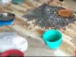 ਭਿਖਾਰੀ ਦੀ ਝੌਂਪੜੀ 'ਚੋਂ ਮਿਲੀਆਂ ਪੈਸਿਆਂ ਨਾਲ ਭਰੀਆਂ ਥੈਲੀਆਂ, ਬੈਂਕ 'ਚ 8 ਲੱਖ ਤੋਂ ਵੱਧ ਜਮ੍ਹਾ