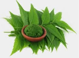ਅਸੀਂ ਨਿੰਮ ਨੂੰ ਫੇਸ ਪੈਕ, ਨਿੰਮ ਦਾ ਪਾਣੀ, ਨਿੰਮ ਸ਼ਹਿਦ, ਨਿੰਮ ਦਾ ਸਾਬਣ ਤੇ ਨਿੰਮ ਦੇ ਤੇਲ ਦੇ ਤੌਰ 'ਤੇ ਵਰਤਦੇ ਹਾਂ ਪਰ ਨਿੰਮ ਦੀ ਵਰਤੋਂ ਦਾ ਸਭ ਤੋਂ ਆਸਾਨ ਤਰੀਕਾ ਹੈ ਇਸ ਦਾ ਪੇਸਟ ਬਣਾ ਕੇ ਵਰਤਣਾ ਹੈ।