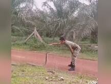 ਫੌਜੀ ਨੇ ਦੋ ਉਂਗਲਾਂ ਨਾਲ ਹੀ ਕਾਬੂ ਕੀਤਾ ਖ਼ਤਰਨਾਕ ਕਿੰਗ ਕੋਬਰਾ, ਵੇਖੋ ਵੀਡੀਓ