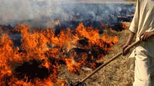 farmers will get compensation for not stubble burning ਕਿਵੇਂ ਮਿਲੇਗਾ ਕਿਸਾਨਾਂ ਨੂੰ ਮੁਆਵਜ਼ਾ ? 300-400 ਕਰੋੜ ਵੰਡਣ ਲਈ ਪੰਚਾਇਤਾਂ ਦਾ ਸਹਾਰਾ