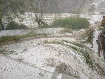 ਮੌਸਮ ਨੇ ਕਰਵਟ ਲਈ ਕਰਵਟ, ਘੰਟਾ ਪਏ ਗੜ੍ਹਿਆਂ ਨਾਲ ਫਸਲਾਂ ਦਾ ਨੁਕਸਾਨ