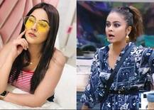 ਬਿੱਗ ਬੌਸ 13 ਸ਼ੋਅ ‘ਚ ਗੋਪੀ ਬਹੂ ਨੇ ਸ਼ਹਿਨਾਜ਼ ਗਿੱਲ ਦੇ ਜੜੀ ਚਪੇੜ