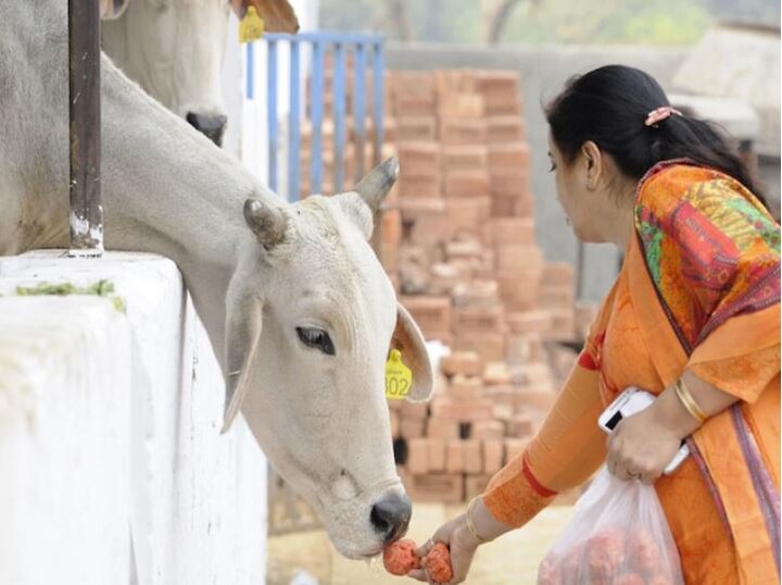 govardhan-puja-2019-all-you-need-to-know-about-this-festiva ਅੱਜ ਦੇਸ਼ ‘ਚ ਹੋਣੀ ਹੈ ਗੋਵਰਧਨ ਪੂਜਾ, ਜਾਣੋ ਪੂਜਾ ਦਾ ਸਹੀ ਤਰੀਕਾ ਅਤੇ ਫਾਈਦੇ