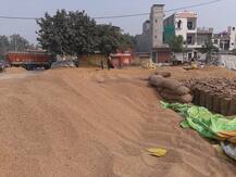 ਮੰਡੀਆਂ \'ਚ ਰੁਲ਼ ਰਹੇ ਕਿਸਾਨ, ਘੱਟ ਝਾੜ ਕਾਰਨ ਦੋਹਰੀ ਮਾਰ, ਵੱਖਰੇ ਬੋਨਸ ਦੀ ਮੰਗ